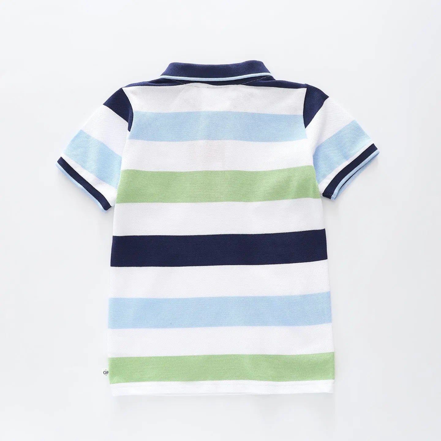 Blue and Green Striped Polo