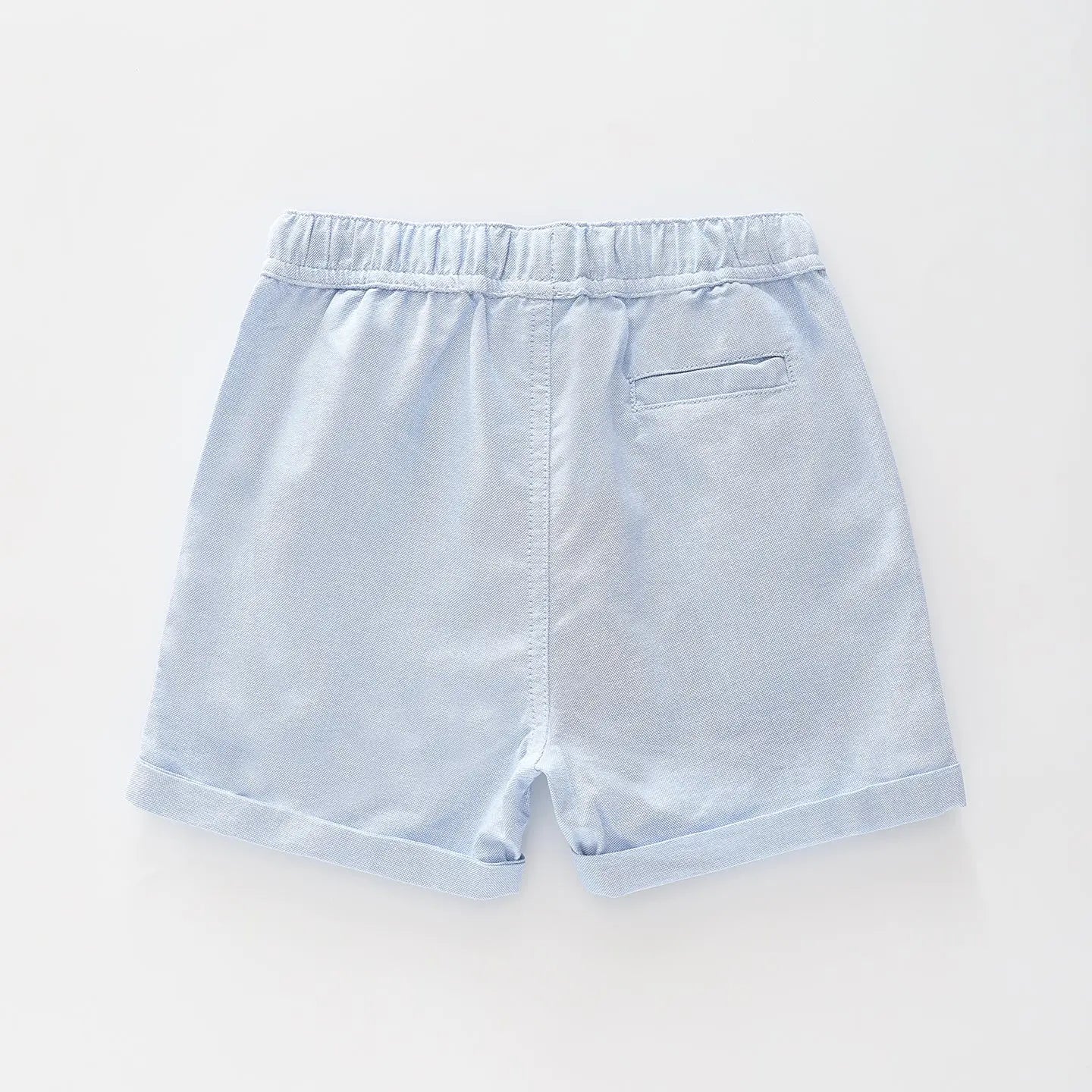 Roarsome Blue Shorts